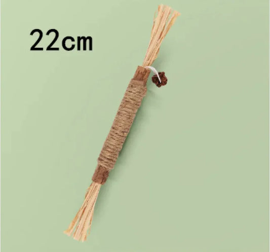 Bâtonnet à Mâcher Catnip PurrPlay – Jouet Dentaire pour Chats 🐱🦷