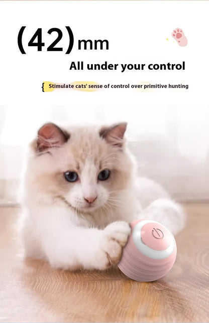 Balle Interactive Intelligente pour Chien & Chat-SMART BALL