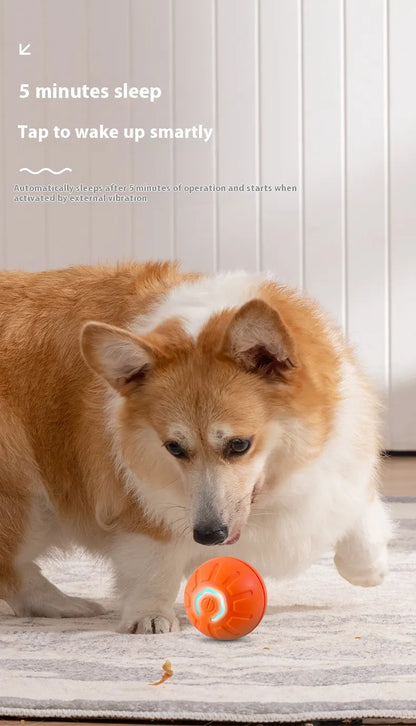 Balle Interactive Intelligente pour Chien & Chat-SMART BALL