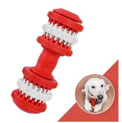Dumbbell à Mâcher pour Chiens – Jouet Dentaire & Amusement 🐶🦷