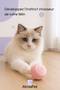Balle Interactive Intelligente pour Chien & Chat-SMART BALL