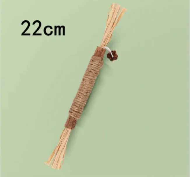 Bâtonnet à Mâcher Catnip PurrPlay – Jouet Dentaire pour Chats 🐱🦷