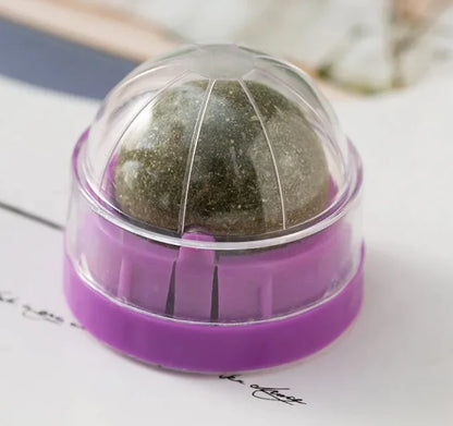 🐾 Balle d’Herbe à Chat Naturelle – Éveil et Bien-être Félin