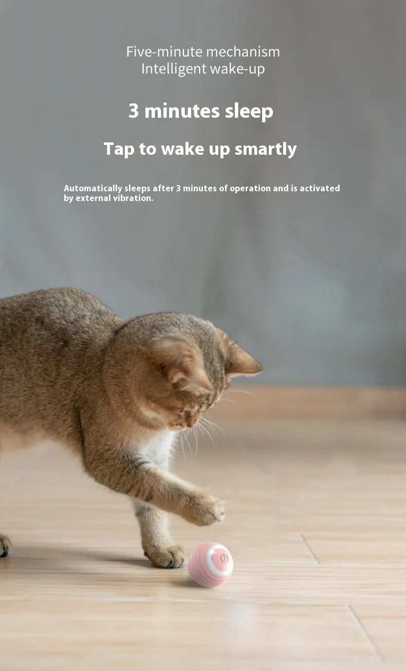 Balle Interactive Intelligente pour Chien & Chat-SMART BALL