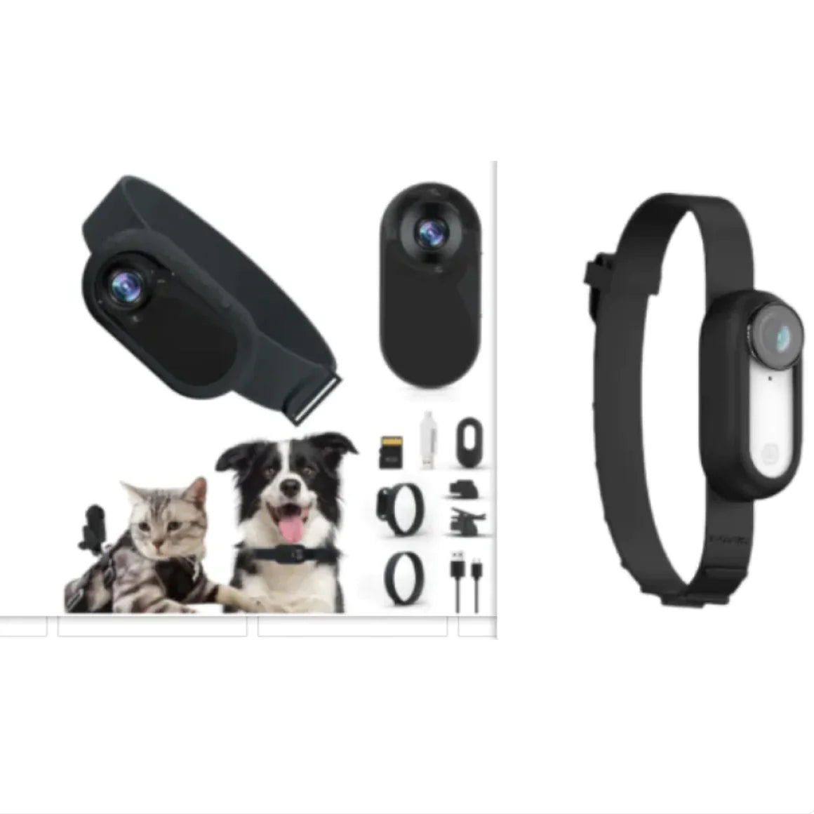 Almiapet Cam – Collier Caméra Sans Fil pour Chats