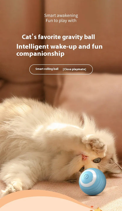 Balle Interactive Intelligente pour Chien & Chat-SMART BALL