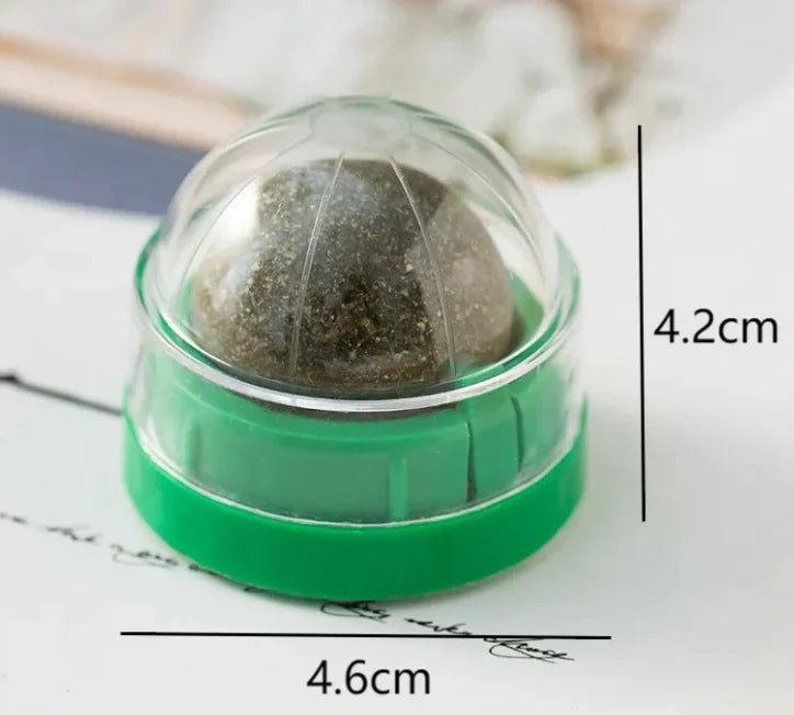 🐾 Balle d’Herbe à Chat Naturelle – Éveil et Bien-être Félin