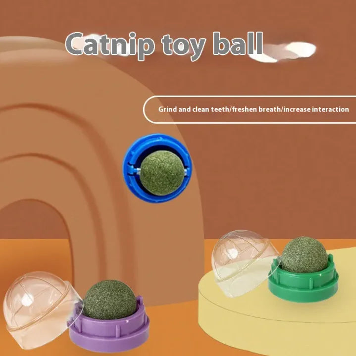 🐾 Balle d’Herbe à Chat Naturelle – Éveil et Bien-être Félin