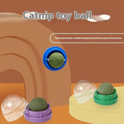 🐾 Balle d’Herbe à Chat Naturelle – Éveil et Bien-être Félin