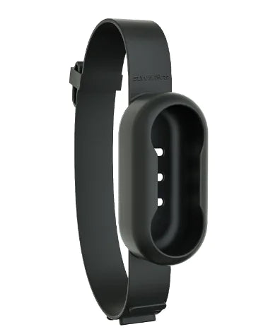 Almiapet Cam – Collier Caméra Sans Fil pour Chats