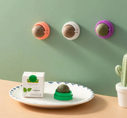 🐾 Balle d’Herbe à Chat Naturelle – Éveil et Bien-être Félin