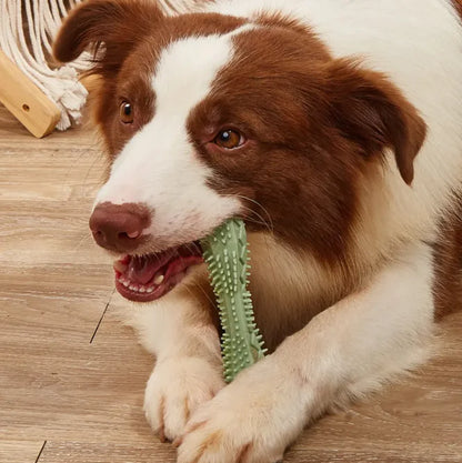 Jouets à Mâcher pour Chiens – Nettoyage des Dents et Hygiène Bucco-Dentaire 🐶🦷